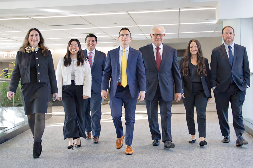 Adinolfi Roberto & Burick attorneys